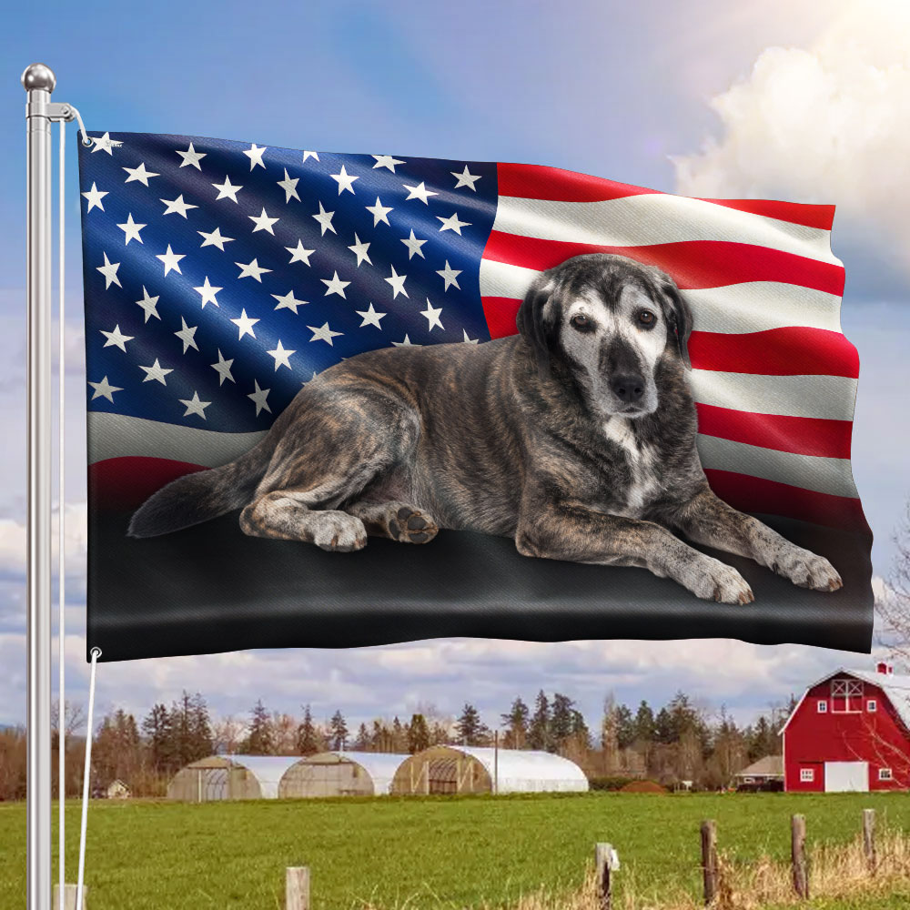 NBH-2870-NBK__mockup1_flagonly.jpg NBH-2870-NBK__mockup1_flagonly.jpg
